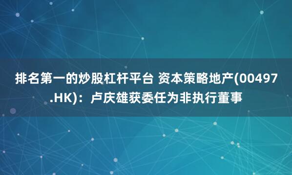 排名第一的炒股杠杆平台 资本策略地产(00497.HK)：卢庆雄获委任为非执行董事