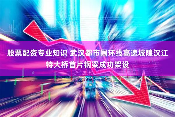 股票配资专业知识 武汉都市圈环线高速城隍汉江特大桥首片钢梁成功架设